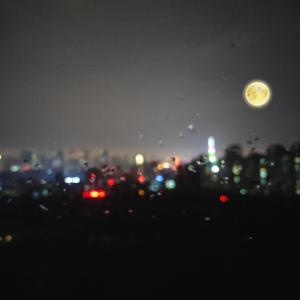 大雷擦大狙网站官网漫画
